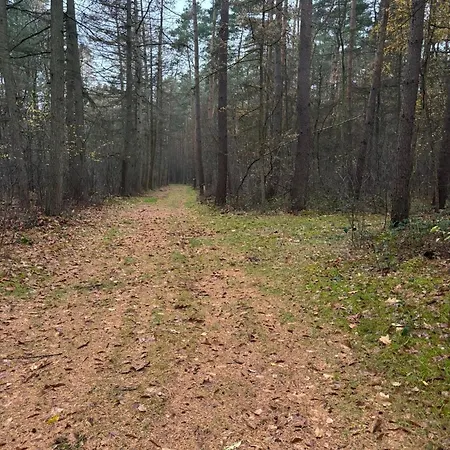 Smart Mitten Im Wald Perfekte Auszeit Apartment Neustadt am Rübenberge