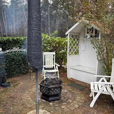 Smart Mitten Im Wald Perfekte Auszeit