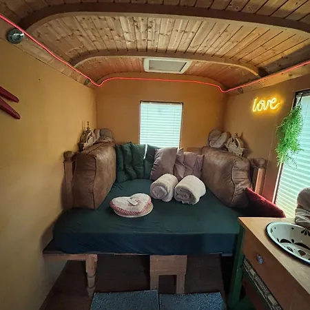 Smart Mitten Im Wald Perfekte Auszeit *