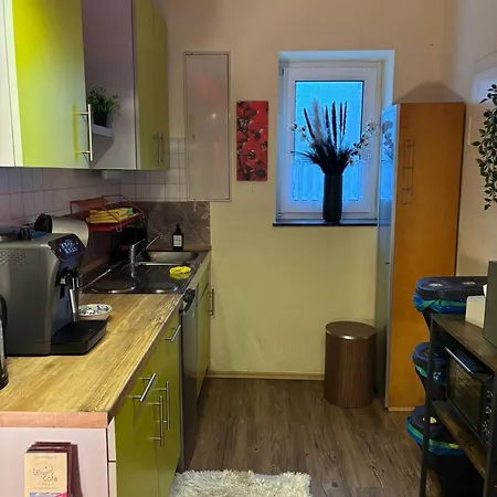 Smart Mitten Im Wald Perfekte Auszeit