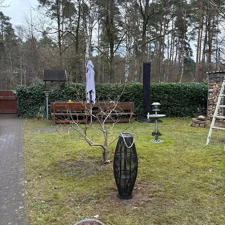 Smart Mitten Im Wald Perfekte Auszeit