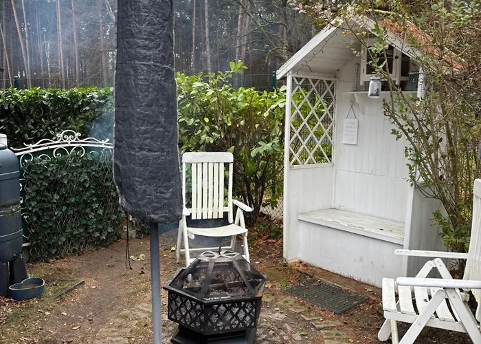 Smart Mitten Im Wald Perfekte Auszeit