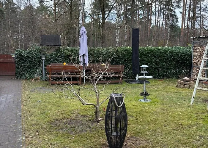 Smart Mitten Im Wald Perfekte Auszeit