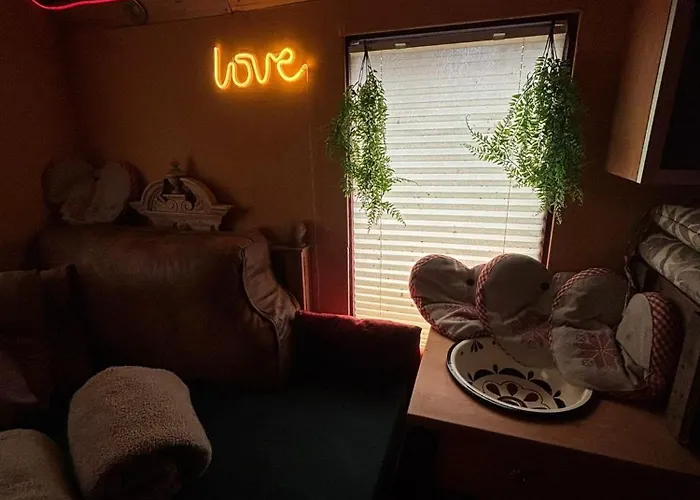 Smart Mitten Im Wald Perfekte Auszeit *