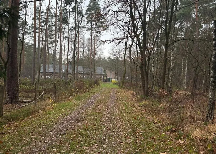 Smart Mitten Im Wald Perfekte Auszeit Neustadt am Rübenberge